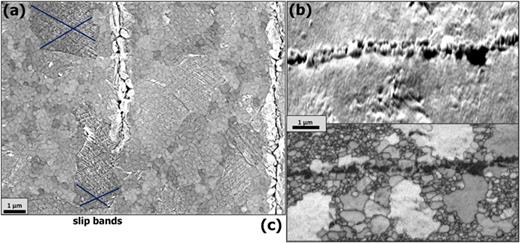 FIG. 4. Slip steps increasing surface roughness and indicating large grains in Cr–Au samples after fatigue loading. (a) Top view SEM image of the Au surface showing slip bands marked by blue lines. (b) SEM overview (70° tilt) of slip steps close to a crack and (c) EBSD band contrast map of the same region depicted in (b), indicating large, singular grains where slip steps are present.