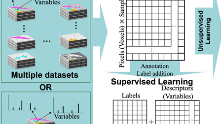 Application of machine learning to spectrum and image data | Journal of ...