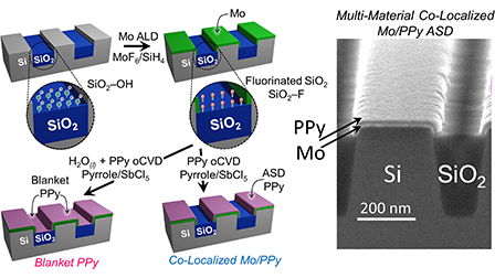 SiO2 atomic-layer fluorination-passivation for dual-material molybdenum ...