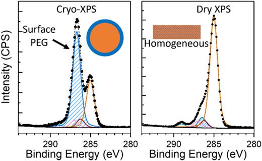 Carbon 1s spectra for the lipid particles, analyzed by both cryo-XPS in a hydrated state and room-temperature XPS dried onto the sample holder. The observed differences between cryo-XPS and standard XPS measurements indicate the potential of cryo-XPS for providing quantitative measurements of such nanoparticle systems in hydrated conditions. Reproduced with permission from Cant et al., J. Phys. Chem. A 127, 8220 (2023). Copyright 2023, American Chemical Society.