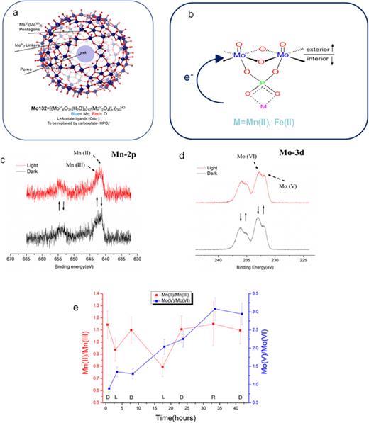 Photovoltaic CREM of Mo132-POMs with 10 equivalents of Mn ions: (a) schematics of the POM structure. (b) The “radial” structure of the POM skeleton, indicating the electron transfer revealed under white light illumination. (c) Raw Mn 2p spectra recorded at dark (bottom) and under white-LED illumination (top). (d) The same as in panel (c) but for the Mo 3d doublet. (e) A summary of the light-induced line-shape changes, expressed as intensity ratios between the two relevant oxidation states in Mo and in Mn. The experiment was performed under fixed low x-ray power, 15 W, with illumination conditions as follows: dark, white LED, dark, white LED, dark, red LED, dark. As indicated by the time scale, early steps were faster, in order to better account for beam-induced artifacts. Adapted from Haviv et al., J. Am. Chem. Soc. 124, 14504 (2020). Copyright 2020, Author(s), licensed under a Creative Commons Attribution (CC BY) license.