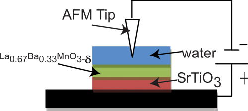 Fig. 1. (Color online) Schematic of the AFM nanolithography process with a negatively biased tip, on epitaxial film of La0.67Ba0.33MnO3-δ on (001) SrTiO3 substrate.
