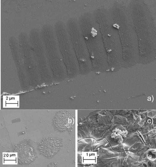 Fig. 3. Scanning electron microscope images of surface modifications induced by a negatively biased AFM tip on epitaxial film of La0.67Ba0.33MnO3-δ (Ref. 19). (a) A line pattern produced at varying faster write speeds (16 μm/s). (b)Larger area of the film showing line patterns and large dots. The large dots were produced by keeping the AFM tip stationary and applying a 10 s voltage pulse. Such dots (large features of excessive outgrowths) were subjected to EDS for elemental analysis. (c) Magnification of the edge of one of the large dots, revealing cracks within the material that forms the uncontrollable outgrowths. Figure previously published in Tanyi et al., AIP Adv. 4, 127129 (2014).