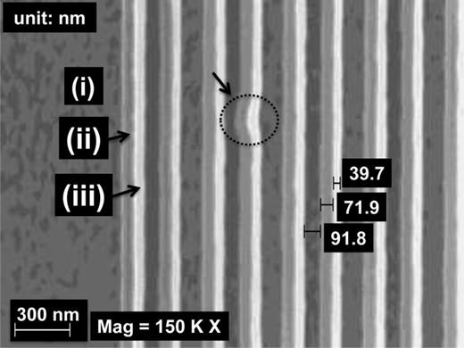 Fig. 6. Plan-view SEM showing the self-aligned nature of TII-patterned features, especially at the black-circled area. (i) Etched c-Si regions, (ii) unetched c-Si regions, and (iii) a-Si hard-mask features.
