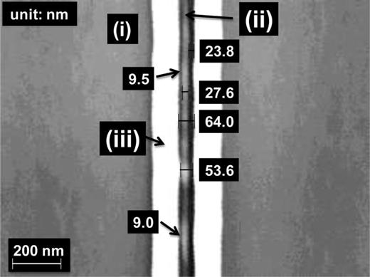 Fig. 8. Plan-view SEM image showing that the edges of the etched c-Si regions are self-aligned to the edges of the a-Si hard-mask features. Double-tilted ion implantation is effective for doubling the density of features.