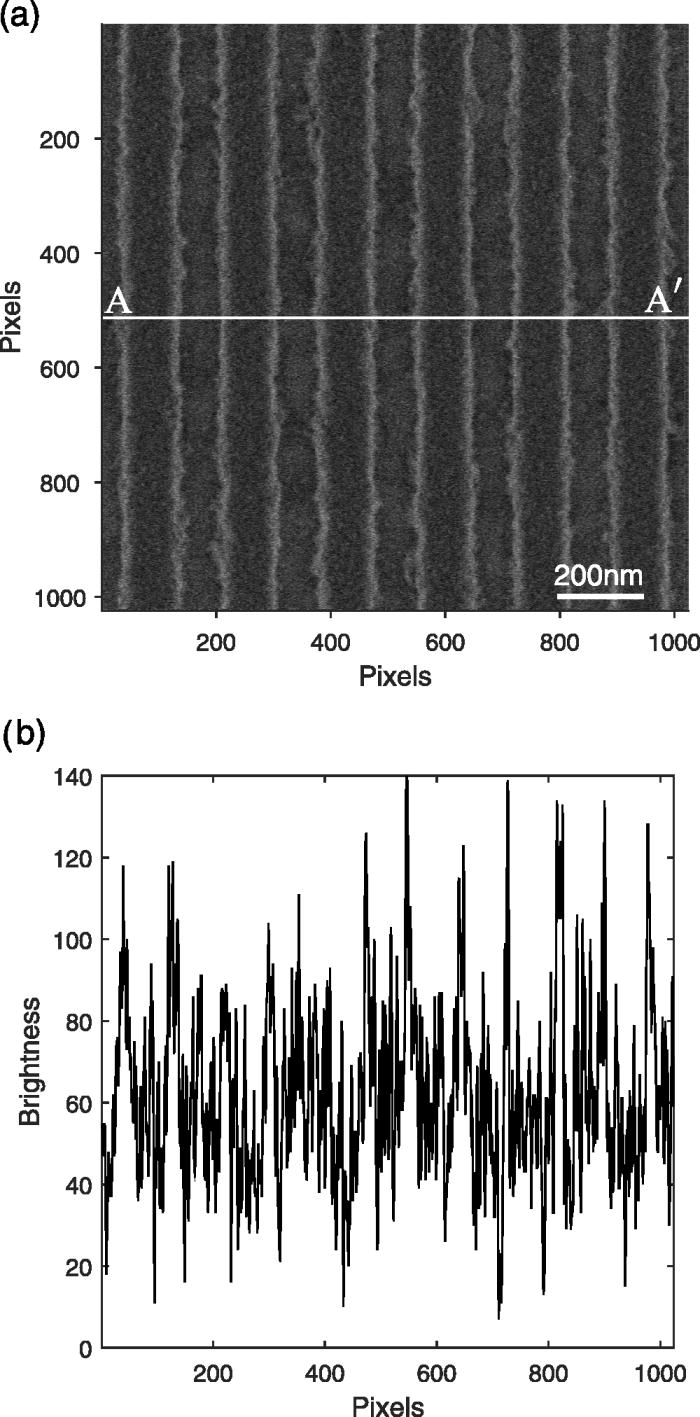 Noise filtering for accurate measurement of line edge roughness and ...