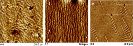 Fig. 1. (Color online) AFM images from 20 × 20 μm fields of view near the center of: (a) sample A; (b) sample C; and (c) sample E. Z-ranges and rms roughnesses for all samples are given in Table II. All samples exhibit subnanometer rms roughness. Sample C has the smoothest surface morphology. 