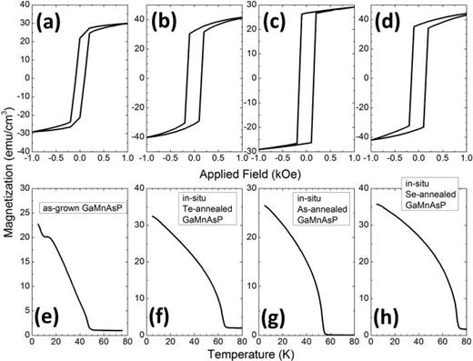 Fig. 4. [(a)–(d)] Hysteresis loops measured at 5 K with magnetic field applied along [001] measured on the control sample (as-grown 50 nm GaMnAsP, sample G), in situ Te-annealed 50 nm GaMnAsP film (sample K), in situ As-annealed 50 nm GaMnAsP film (sample J), and in situ Se-annealed 50 nm GaMnAsP film (sample I). [(e)–(h)] Corresponding magnetization as a function of temperature measured in 10 Oe magnetic field applied along [001].
