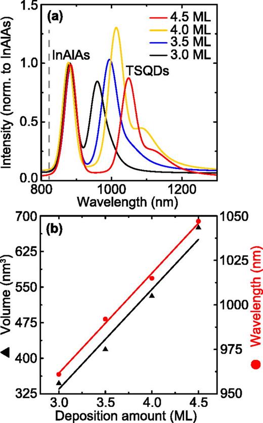 Fig. 3. (Color online) (a) PL emission spectra as a function of GaAs deposition amount in ML. Black dashed line shows 7 K PL emission of unstrained bulk GaAs for comparison. Peak TSQD PL wavelength increases with higher deposition amount up to 4.0ML, then decreases at 4.5 ML. By 3.5 ML a background of longer wavelength emission is apparent, which resolves into a secondary peak for 4.0 and 4.5 ML deposition. Spectral intensities are normalized to the bulk InAlAs PL peak. (b) TSQD volume and peak PL wavelength as a function of GaAs deposition amount. TSQD volume and PL wavelength both increase linearly with increasing deposition amount.