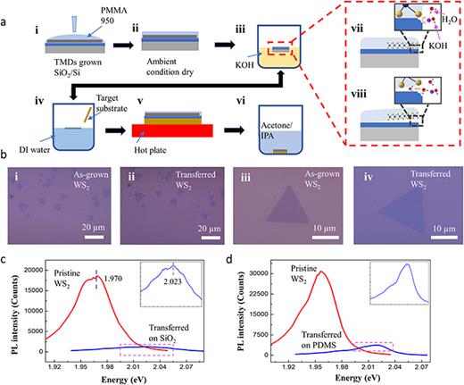 Effects of solvents and polymer on photoluminescence of transferred WS2 ...