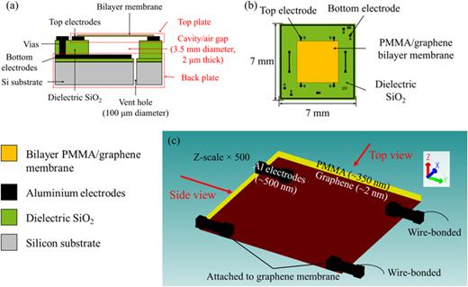 Design of the graphene-based capacitive microphone with optimized air gap thickness and damping. (a) Side and (b) top view of the device. (c) Structure of the top plate: a bilayer PMMA/graphene membrane attached to top Al electrodes.