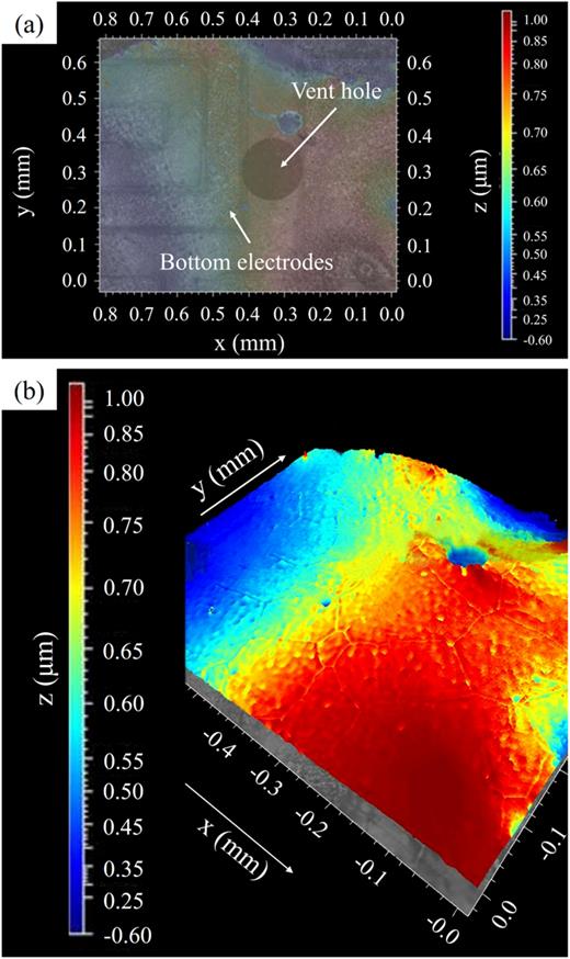 CSI image of graphene at a 0.8 × 0.7 mm2 area. (a) 2D image of the topography of a membrane. (b) 3D illustration of the topography of the same area in the membrane as Fig. 6(a).
