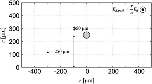 FIG. 2. Calculation geometry and initial condition of the cylindrical simulation. The ring-shaped coil (nickel) was modeled with a coil radius of 250 µm and a wire diameter of 50 µm. The background field, Eϕ,back, was initially imposed.