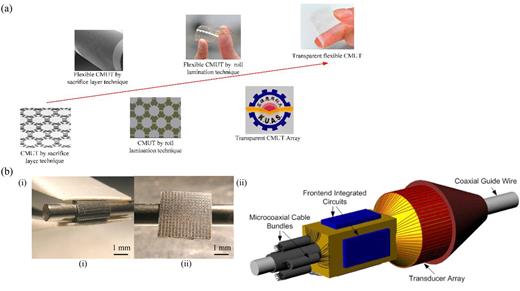 Review of flexible microelectromechanical system sensors and devices ...