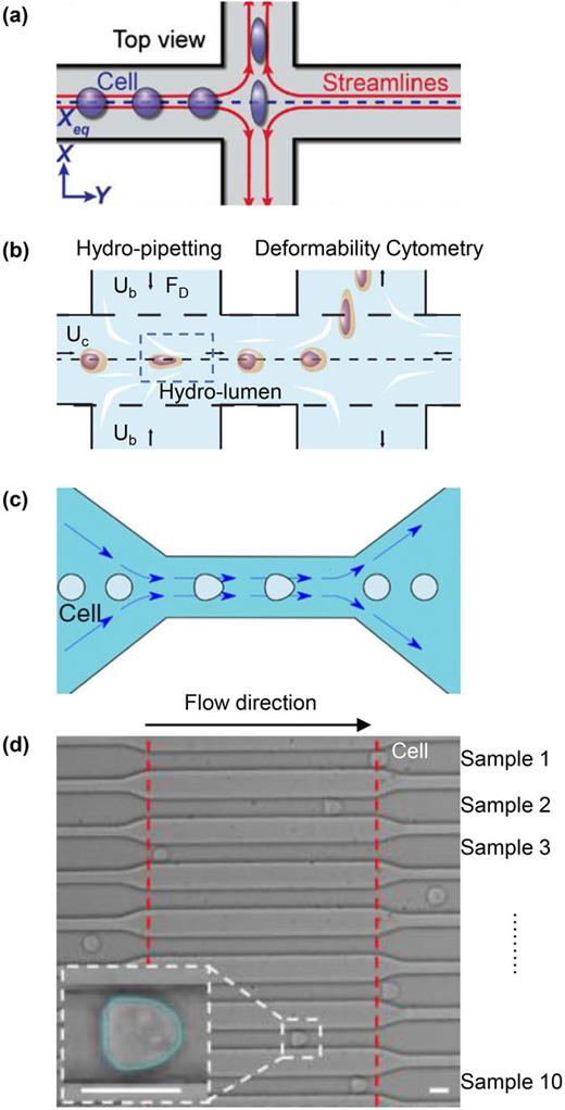 Microfluidic high-throughput single-cell mechanotyping: Devices and ...