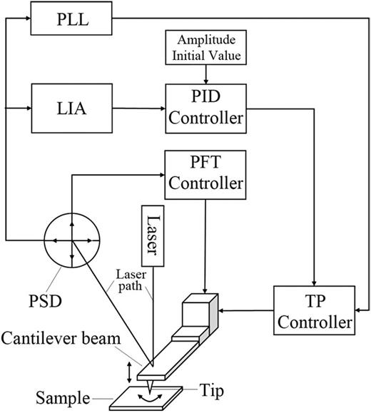 FIG. 1. Schematic illustration of the driving and measurement capabilities of the compound peak force tapping mode.