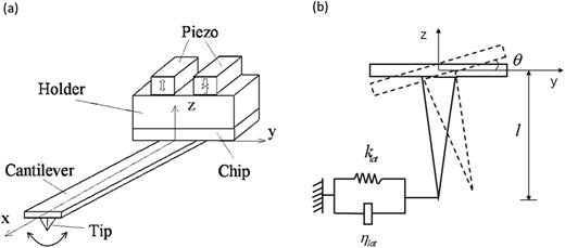 FIG. 4. (a) Schematic of the AFM cantilever torsionally excited by the holder. (b) Tip–cantilever assembly under viscoelastic tip–sample interaction.