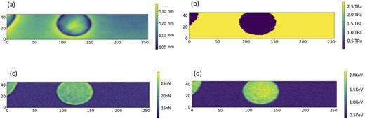 FIG. 9. Measurement results for longitudinal mechanical properties: (a) height; (b) DMT modulus; (c) adhesion; (d) energy dissipation.