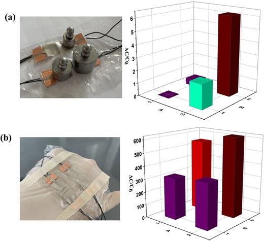 Ultrasensitive iontronic pressure sensor based on microstructure ...