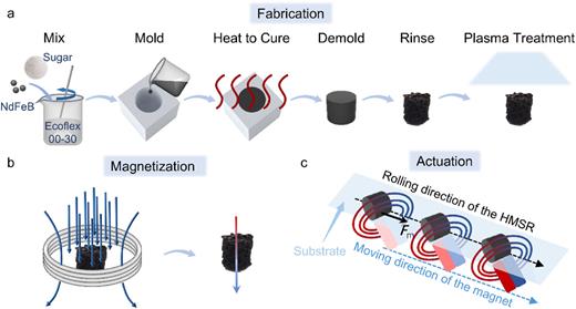 (a) Preparation process of HMSR. (b) Magnetization process. (c) Actuating principle of HMSR.