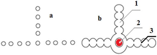 The formation scheme of a flickering crystal from standing excitons of large radius at different irradiation doses: (a) A doped crystal at a weak energy source; (b) the overlap of electron shells at an increased irradiation dose and (1) the formation of linear flickering crystals with high conductivity; (2) The area of maximum radiation; and (3) the formation of Vysikaylo cumulation points5 L1 (for electron flows) between positive ions of standing excitons of large radius.11