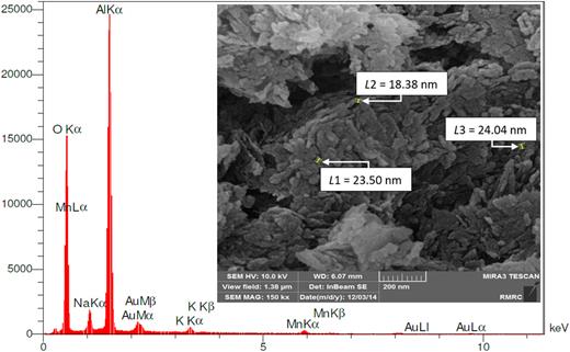 Electron microscope image and EDS spectrum of manganese-adsorbed boehmite nanoparticles.