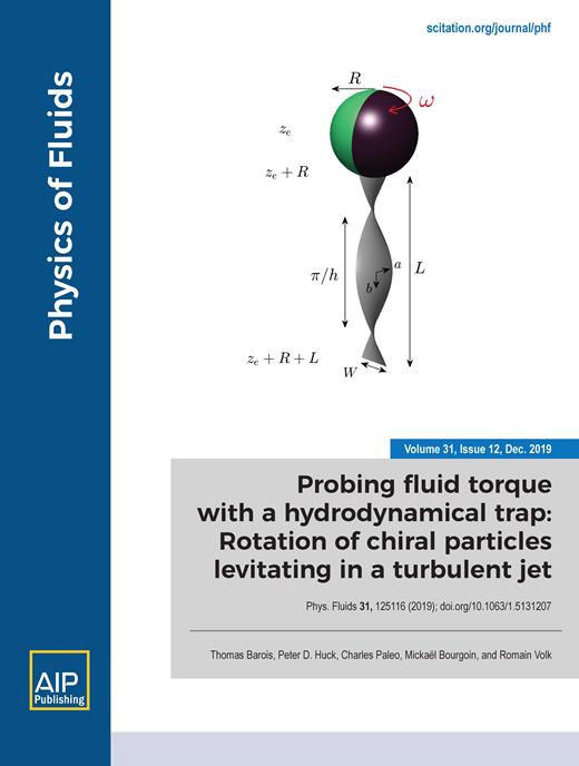 Physics of Fluids Cover Image for Volume 31, Issue 12