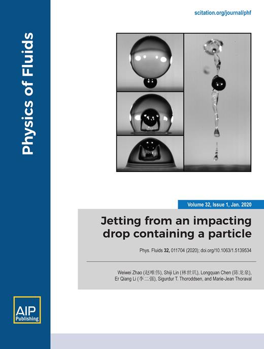 Physics of Fluids Cover Image for Volume 32, Issue 1