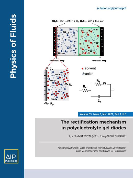 Physics of Fluids Cover Image for Volume 33, Issue 3