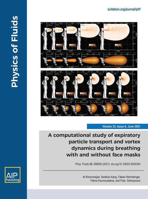 Physics of Fluids Cover Image for Volume 33, Issue 6