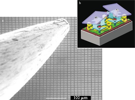  . Figure 3. A Digital Micromirror Device (DMD)™ is an array of tiny, tiltable mirrors that can be used in a variety of projection systems. (a) A DMD and the point of a needle for a size comparison. The array has been imaged at an angle, so the square mirrors appear rectangular. (b) Two mirrors showing the details of their design. The mirrors (blue) and the support posts (gray) rotate about hinges (red). Voltages applied to the address electrodes (yellow) force the mirrors to rotate to either the on or off position; one mirror is shown here in each state. On-mirrors reflect light through a projection lens to a screen, whereas off-mirrors reflect light to an absorber. 