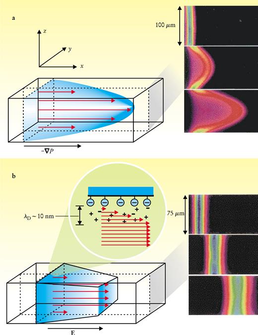  . Figure 1. Flow profiles in microchannels. (a) A pressure gradient, –▽P, along a channel generates a parabolic or Poiseuille flow profile in the channel. The velocity of the flow varies across the entire cross-sectional area of the channel. On the right is an experimental measurement of the distortion of a volume of fluid in a Poiseuille flow. The frames show the state of the volume of fluid 0, 66, and 165 ms after the creation of a fluorescent molecule. (b) In electroosmotic (EO) flow in a channel, motion is induced by an applied electric field E. The flow speed only varies within the so-called Debye screening layer, of thickness λ D. On the right is an experimental measurement of the distortion of a volume of fluid in an EO flow. The frames show the state of the fluorescent volume of fluid 0, 66, and 165 ms after the creation of a fluorescent molecule. 3 