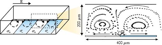  . Figure 2. Patterning the surface can produce nonaxial flows in microchannels. Here, the bottom of the channel was patterned with regions of positive (σ +) and negative (σ −) surface charges, and fluid flow was driven by an applied electric field E. In the panel at the right, the trajectories of electrically neutral fluorescent beads (black dots) in two adjacent rolls reveal the streamlines of the flow. The black arrows indicate the direction of flow. 5 