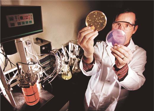  Sandia National Laboratories researcher Mark Tucker examines two petri dishes: one (left) containing a growing anthrax simulant, the other showing the lack of spore growth after treatment with a new decontaminating foam.