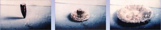  . Figure 3. A copper and lead .30 caliber bullet liquefies as it strikes a steel plate at 850 meters per second. The transition occurs because the cohesive energy densities of such soft metals are insignificant compared to the impact pressures. Stronger materials can withstand higher velocity impacts, but even the hardest steel alloys cannot withstand smashing into rock or reinforced concrete at velocities greater than a few kilometers per second without deforming, fracturing, or even liquefying. 