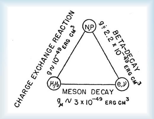 . Figure 3. The “Tiomno triangle,” from a 1949 paper by John Wheeler and Jayme Tiomno, illustrates their suggestion that a universal weak-interaction of coupling constant g governs not only nuclear beta decay (the triangle’s right leg) but also muon decay (bottom leg) and nuclear muon capture (left leg). The symbol µ0 refers to the muon neutrino, which the authors assumed to be distinct from v, the putative beta-decay neutrino. Giampietro Puppi’s contemporaneous work generalized the weak-interactions universality to include pion decay. 15