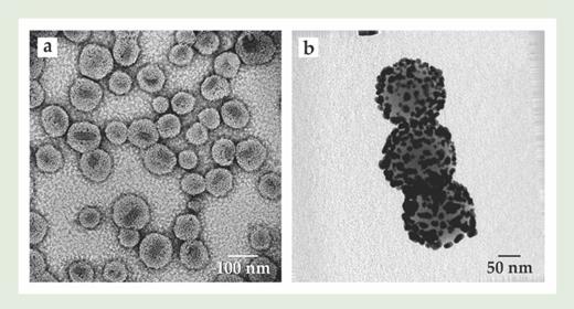 . Figure 5. Electron micrographs of (a) Doxil and (b) an early batch of the material that would eventually become AuroShell. Electron microscopy is a useful tool for visualizing nanomaterials too small to be seen by light microscopy, but because it shows only a small number of particles at a time, it is not well suited for characterization of the bulk or average properties of a material. The micrographs here give a sense of the variability in size and shape in the samples, but one would have to examine hundreds or even thousands of images to obtain adequate statistics on the size distribution. (Courtesy of Ulrich Baxa.)