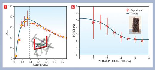 Figure 2. (a) Entangled staples mutually pierce each other’s bounding area. In the illustration, colored marks indicate where the red staple’s bounding area is pierced by the surrounding gray staples. The product of the average number of entanglements and the packing fraction is the entanglement density ρent. Simulations (solid line) indicate that the density peaks at a barb (staple arm to crossbar length) ratio of about 0.4, very nearly the ratio at which experimental piles (circles) are most rigid (dashed line). (Adapted from N. Gravish, S. V. Franklin, D. L. Hu, D. I. Goldman, Phys. Rev. Lett. 108, 208001, 2012.) (b) The force needed to pull apart a thin pile of staples (stars) drops dramatically once the pile becomes about 4 cm long. The relatively sudden drop can be explained by positing that long piles be considered as multiples of units with the fundamental length ξ mentioned in the text. Our best theoretical fit to the data (solid curve) yields ξ = 3.5.