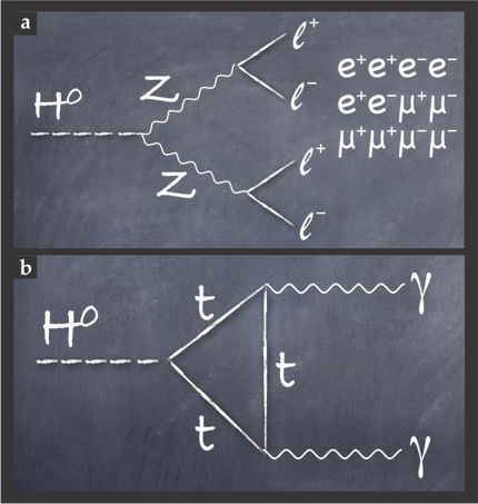 Figure 3. Two crucial decay channels revealed the Higgs boson in experiments conducted at CERN. (a) The Higgs boson decays into two virtual Z bosons, and each Z boson decays into an electron–positron pair or a muon–antimuon pair. (The four daughters are called leptons, whence the symbol ℓ.) The possible four-lepton final states are indicated to the right of the panel. (b) The Higgs boson decays into two photons (γ). Note that the decay proceeds through a triangle of virtual top quarks (t).
