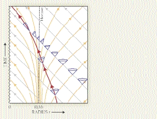 . Figure 1. The spacetime geometry of the Schwarzschild black hole solution can be depicted in different ways. In this representation, ingoing light rays always travel along ingoing lines heading toward the top and left at 45°; outgoing light rays asymptotically approach 45° lines at large radius r. Massive particles, with their slower speeds, must travel within the light cones (blue) between outgoing and ingoing light rays, as illustrated by the red path. No light ray can escape to infinity from inside the vertical dotted line, the horizon located at the mass-dependent Schwarzschild radius R(M). Instead, any trajectory beginning inside the horizon is pulled to a central point, the singularity at r = 0, where spacetime curvature becomes infinite.
