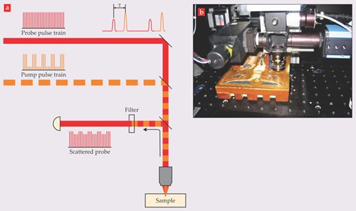 Figure 1. Pump–probe microscopy of historic artwork. (a) Two 80-MHz pulsed laser beams, the pump and the probe, are offset by a time delay τ and focused together in the sample. Nonlinear interactions between the two beams in the focal volume influence the intensity of the scattered probe light that reaches the detector. To help separate signal from noise, the pump intensity is modulated at 2 MHz; that modulation is transferred to the probe. (Adapted from ref. 1.) (b) The apparatus was used to analyze an early 14th-century painting, The Crucifixion by Puccio Capanna. The painting measures approximately 14 cm by 18 cm. (Courtesy of Martin Fischer.)