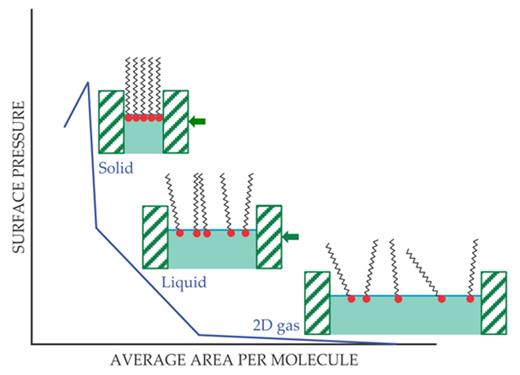 Figure 2. A simplified compression isotherm. Oil, consisting of molecules with polar heads attached to nonpolar chains, is added to water in a trough. The molecules are trapped at the water–air interface due to the hydrophobic hydrocarbon chains. Decreasing the total surface in which the molecules are allowed to roam induces interactions among them and phase changes in the organic layer. The least compressible phase is the two-dimensional solid monolayer.