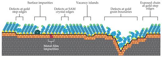 Figure 5. Intrinsic and extrinsic defects in a self-assembled monolayer (SAM) on a polycrystalline substrate. SAMs are often thiols—organosulfur compounds with (–SH) head groups (yellow) that bond to a metal substrate (orange)—whose hydrocarbon chains (blue) follow the crystalline symmetry of the lattice and protrude outward. Such monolayer chains may also be terminated with a functional end group (green) that endows them with particular properties. In this schematic, the dark line marks the gold–sulfur interface and reveals the atomic-scale topography of the substrate. (Adapted from ref. 9.)