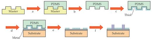 Figure 6. Microcontact printing.(a) A solid template is lithographically produced with the desired relief structure and coated with an elastomer, here polydimethylsiloxane (PDMS), a constituent of bathtub caulk. (b) The elastomer is removed from the master and becomes the stamp, which is then (c) inked with a thiol solution and (d) placed in contact with the substrate. (e) The thiol is transferred to the metal surface in the regions of contact to produce a pattern consisting of exposed metal and thiol-covered regions. (f) The patterned surface can be stamped with other thiol solutions to produce a surface patterned with different, spatially distinct thiols. (Adapted from ref. 10.)