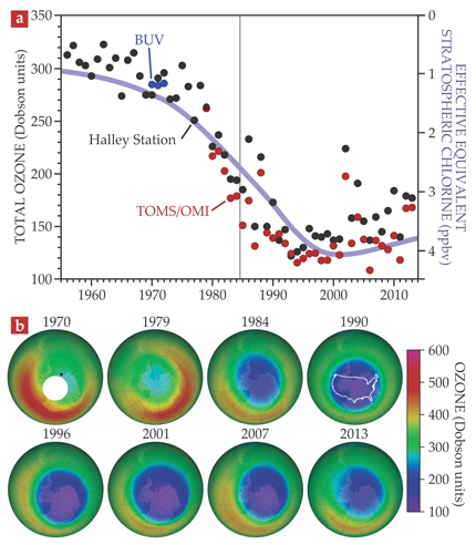 . Figure 1. The ozone hole. (a) Ground-based measurements (black dots) of the October mean total ozone above the British Antarctic Survey’s Halley Research Station at 76° S, 27° W (black dot in 1970 plot below) reveal ozone decreases from the 1970s through the 1990s. An analysis of the data up to 1985 (vertical line) first discovered the ozone hole.3 Ozone columns are measured in Dobson units: The amount of ozone in a vertical column that would form a layer 1 mm thick at standard temperature and pressure is equivalent to 100 DU. The decrease in total ozone closely tracks increases in manmade chlorofluorocarbons (CFCs), as quantified by the equivalent effective stratospheric chlorine concentration (purple, in parts per billion by volume) as described in the text. Also shown are minima of October mean Antarctic ozone from satellite instruments: the Backscatter UV spectrometer (BUV, blue) and the Total Ozone Mapping Spectrometer and the Ozone Monitoring Instrument (TOMS and OMI, both red). (b) Shown are October averages of total ozone from the BUV (1970, white circle indicates no data), TOMS (Nimbus-7 1979, 1984, 1990; Earth Probe 1996, 2001), and OMI (2007, 2013). The ozone hole deepened rapidly between 1979 and 1990. For scale reference, the US outline is superimposed on the 1990 image. Because CFCs and related bromine compounds are long-lived, recent ozone levels remain lower than pre-1970 values.
