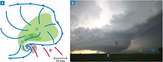 Figure 1. The parts of a supercell thunderstorm shown in (a) an idealized horizontal cross section. The gray-shaded updraft region is labeled U, and the downdraft, D. Green shading indicates precipitation; the location of most intense precipitation and largest hail is shaded dark green and marked H. The location of tornado formation, if one develops, is labeled T. The blue barbed line delineates the gust front, which separates warm, humid air in the environment from cool air that has descended to the surface in downdrafts. The blue and red arrows indicate the airflow near the surface within the cool and ambient warm air masses, respectively. (Adapted from L. R. Lemon, C. A. Doswell III, Mon. Weather Rev. 107, 1184, 1979 (doi:10.1175/1520-0493(1979)107%3C1184:STEAMS%3E2.0.CO;2.) (b) The same labels are superimposed on a photograph of a tornadic supercell near Bowdle, South Dakota, taken on 22 May 2010 from a vantage point near the purple star in panel a. (Photo courtesy of Walker Ashley.)