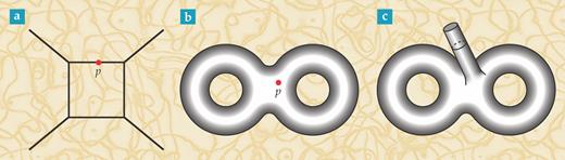 Figure 3. States and operators. (a) A deformation of the spacetime metric corresponds to an operator 𝒪 that can be inserted at some internal point p on a Feynman graph. By contrast, a state in the quantum mechanics would be attached to the end of one of the outgoing lines of the graph. (b) A Riemann surface can also have an operator insertion. (c) If the marked point in panel b is deleted, the Riemann surface is conformally equivalent to one with an outgoing tube that is analogous to an external line of a Feynman graph. The operator 𝒪 that was inserted at p is converted to a quantum state of the string that propagates on the tube.