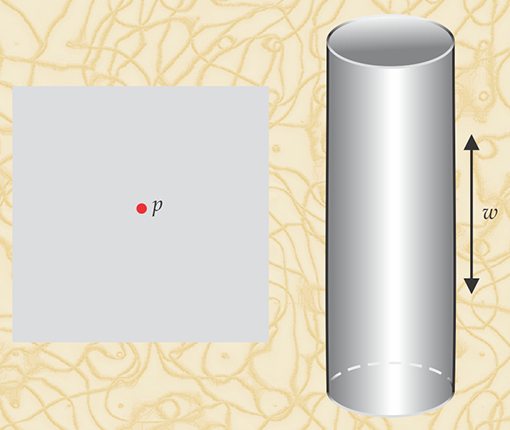 Figure 4. A plane ℝ2, when a labeled point p is omitted, is equivalent via a Weyl transformation to a cylinder with a flat metric. Vertical position on the cylinder is given by w and the point p is mapped to the bottom end of the cylinder at w = −∞.