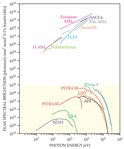 Figure 1. The peak brightnesses of select free-electron lasers (FELs) and synchrotron facilities are shown for a wide photon energy range. The FELs, all in the unshaded region, are up to 10 orders of magnitude brighter than synchrotron sources, in the shaded region. The solid lines are operating FELs and dashed lines are FELs under construction. (Adapted from ref. 16.)