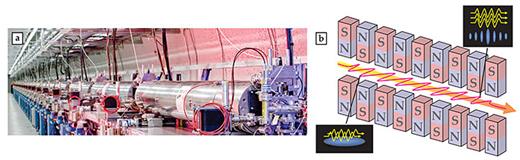 Figure 2. The 132-m undulator consisting of 33 individual segments (a) is the heart of the Linac Coherent Light Source. (b) This illustration shows the electrons’ sinusoidal path (red wavy line) in the magnetic field of the undulator’s array of permanent magnets with alternating north and south poles. The yellow arrow indicates the emitted photons. The x rays emitted by different electrons when they first enter the undulator are not coherent (lower left). In self-amplified spontaneous emission, the electrons interact with their own emissions and self-organize into microbunches (upper right) that wiggle synchronously to produce a coherent x-ray laser pulse. (Photo courtesy of SLAC.)